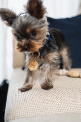 DOG ID TAG(ペットタグ/迷子札)