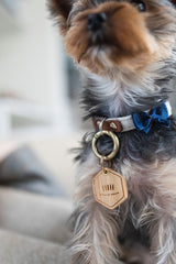DOG ID TAG(ペットタグ/迷子札)