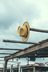 "CHARLIE'S PANAMA" - BROWN SUGAR