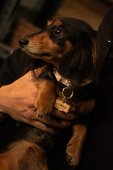 DOG ID TAG(ペットタグ/迷子札)