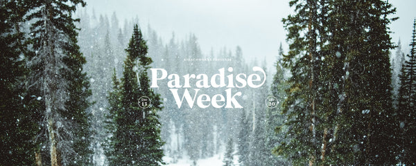 PARADISE WEEK 011